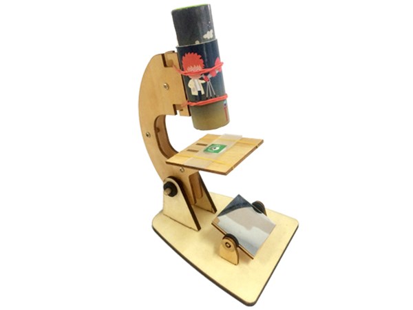 小學(xué)生為什么要開(kāi)設(shè)小學(xué)科學(xué)，這個(gè)年齡段合適嗎？