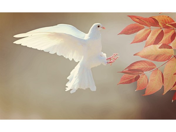 這四點(diǎn)方法將告訴你，如何為兒童進(jìn)行科學(xué)啟蒙